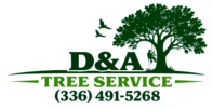 cropped logo con trazo.png